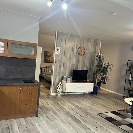 Apartments Renesance ボイニツェ エクステリア 写真