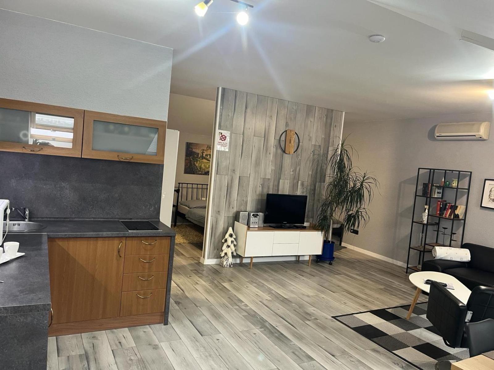 Apartments Renesance ボイニツェ エクステリア 写真