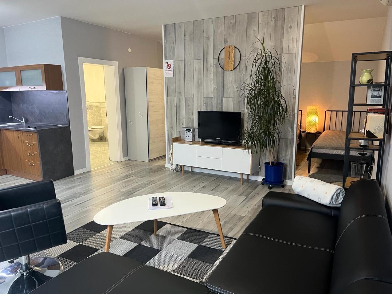 Apartments Renesance ボイニツェ エクステリア 写真